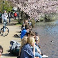 1470_2799 Die Hamburgerinnen und Hamburger geniessen die Frühlingssonne an der Binnenalster. | 